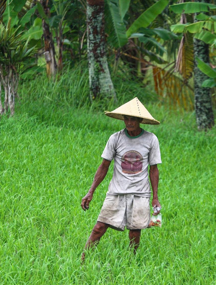 Douglas Dewa — local Bali guide and driver