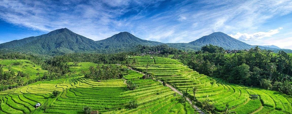 Jatiluwih UNESCO Terraces