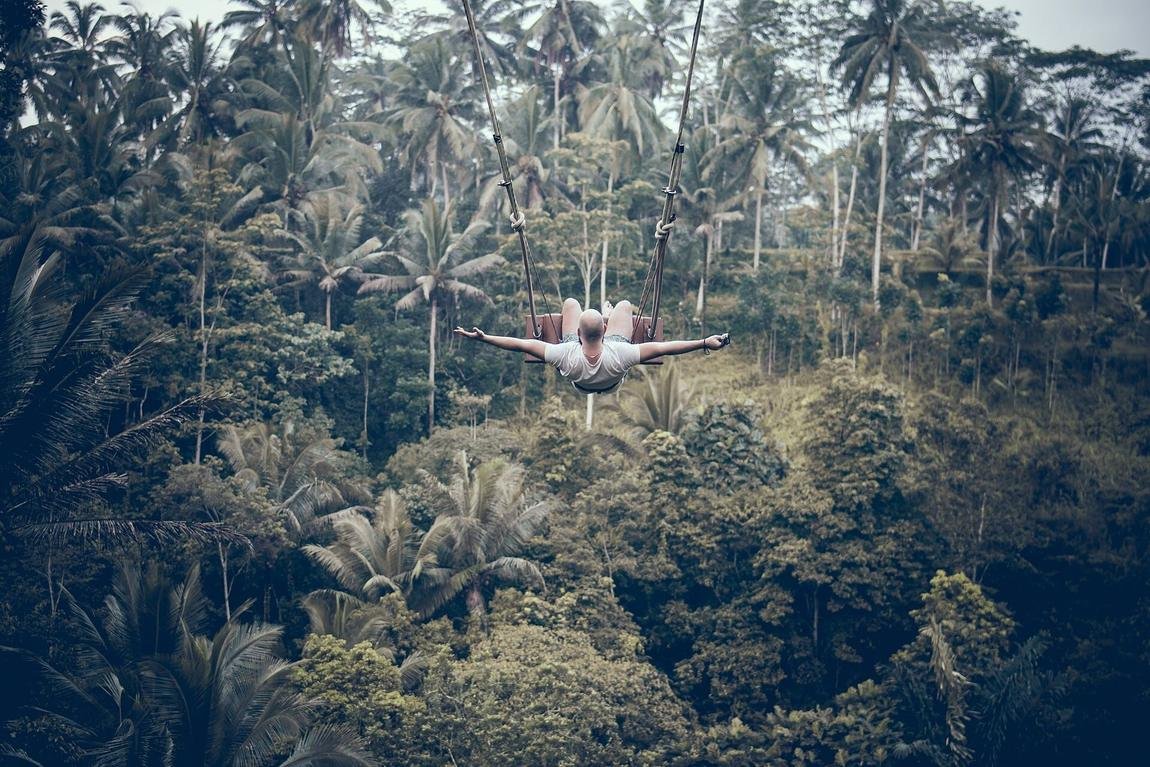 Jungle & Bali Swings